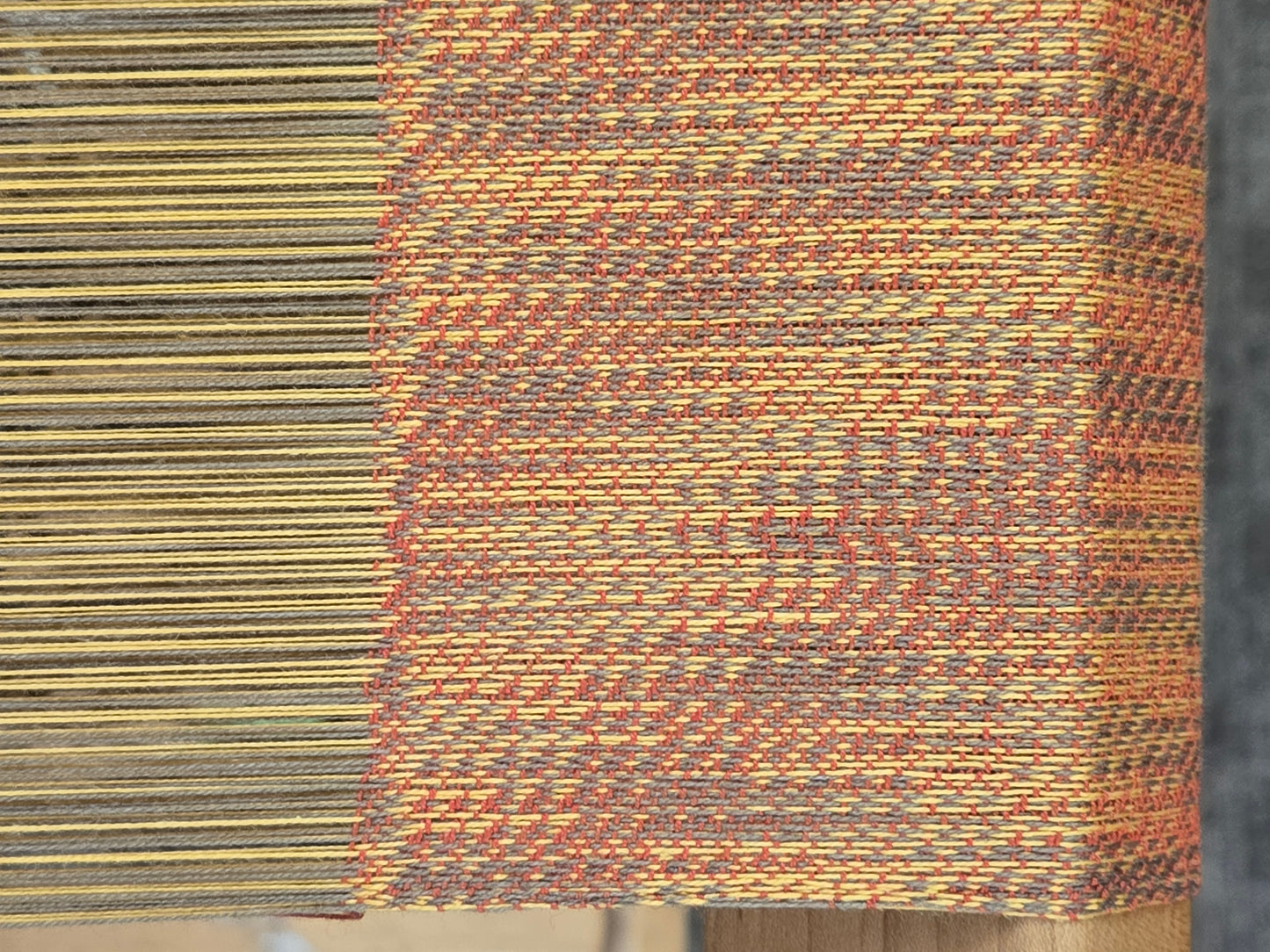 Echo and Iris Towels March 3-7, 2026