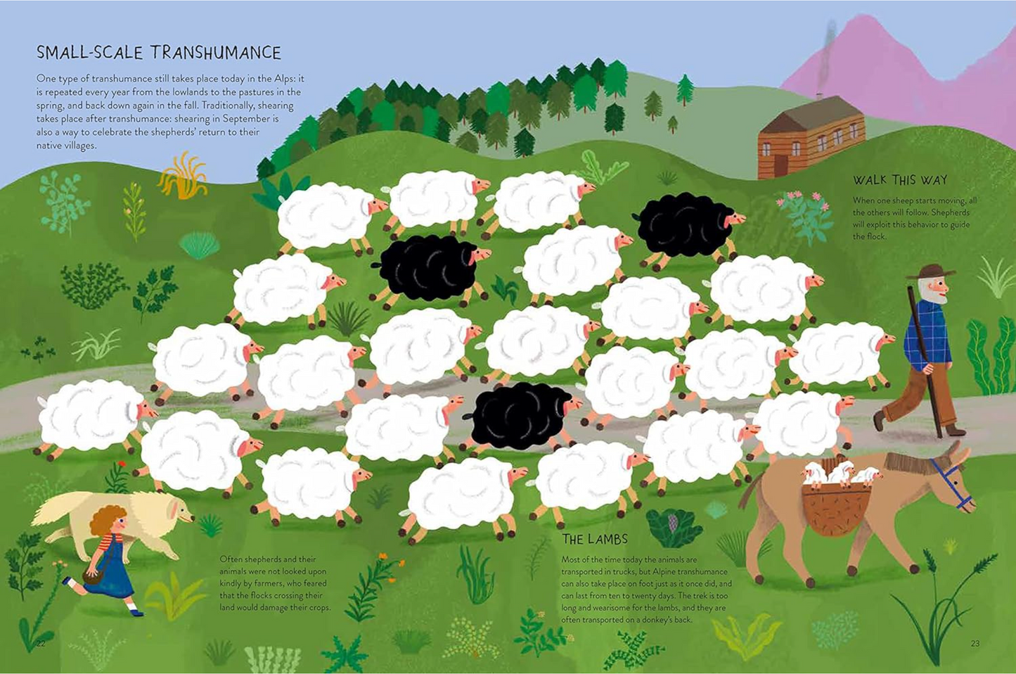 Sheepology: The Ultimate Encyclopedia