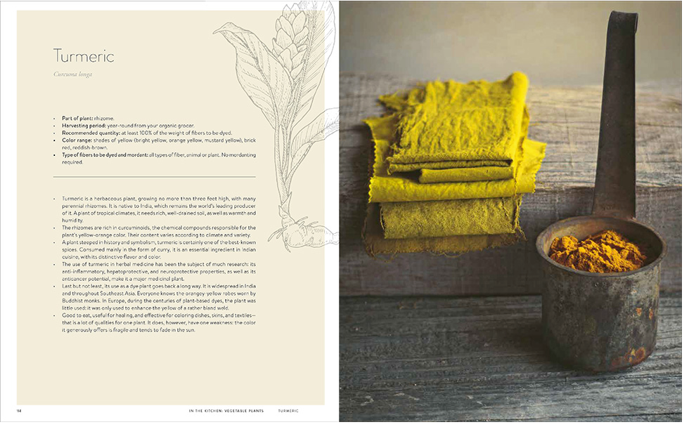 Wild Dyeing