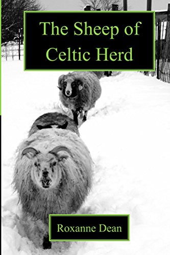 The Sheep of Celtic Herd